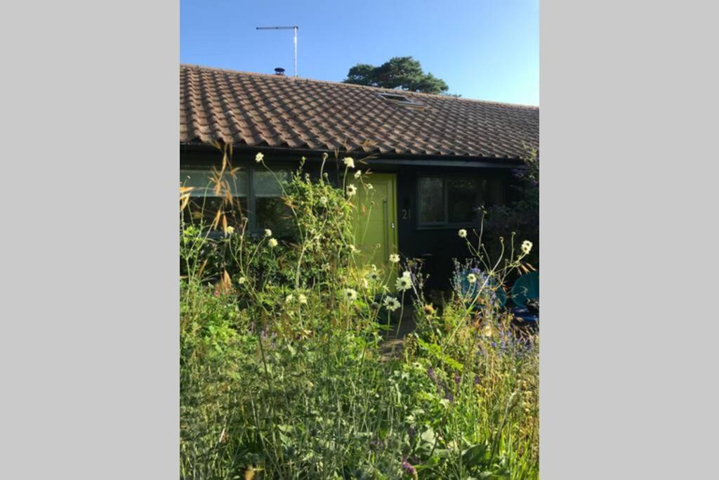 The Yellow Door Whitstable - Peaceful Retreat Close To Beach ภายนอก รูปภาพ